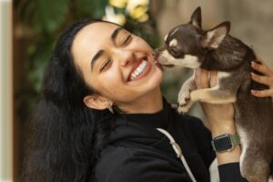 Cachorro Chihuahua lambendo mulher.