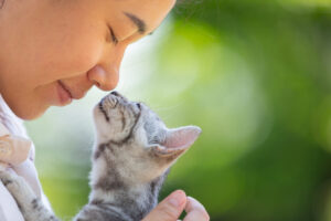 Mulher abraçando um gato que cheira seu nariz.