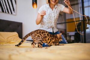 Mulher brincando com uma corda com seu gato de Bengala em cima da cama.