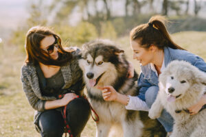 Mulheres interagindo entre si, acompanhadas de seus cachorros.