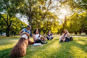 Grupo de pessoas com seus cães em um parque.