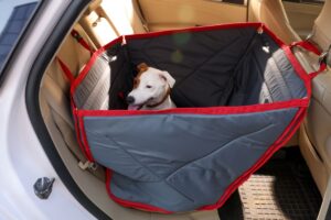Cachorro dentro do carro.