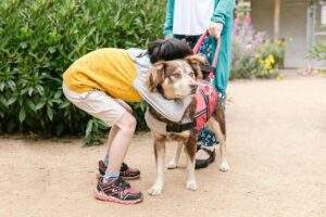 Criança abraçando cachorro de suporte emocional.