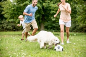 Família jogando futebol com seu cão.