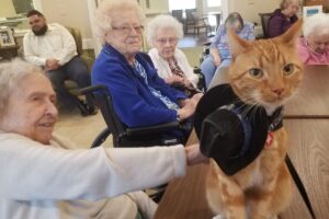 Pets e Inclusão Social: Gato de terapia com idosas.
