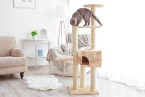 Enriquecimento Ambiental: Gato na torre arranhador na sala de estar.