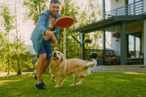 Brincadeiras para Manter Seu Cão Ativo: Homem jogando frisbee para cachorro pegar.