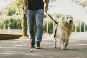 Pets e Inclusão Social: homem cego passeando com cão-guia.
