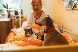 Pets e Inclusão Social: Idosa feliz com cachorro e gato na cama.