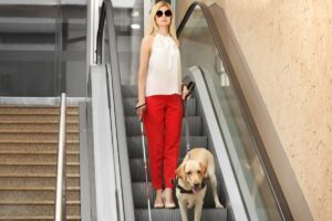 Mulher na escada rolante com seu cão-guia.