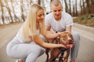 Pitbull é Naturalmente Agressivo: Mito ou Verdade?