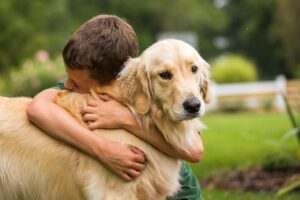 Raças de Cães e Gatos Ideais para Crianças: Golden Retriever.