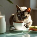 Líquidos que Fazem Mal aos Pets.