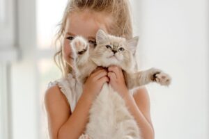 Raças de Cães e Gatos Ideais para Crianças: Ragdoll.