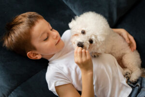 Raças de Cães e Gatos Ideais para Crianças: Poodle.