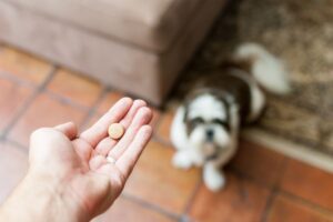 Pessoa com remédio na mão para dar ao cachorro.