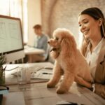 Pets no Trabalho Vale a Pena?