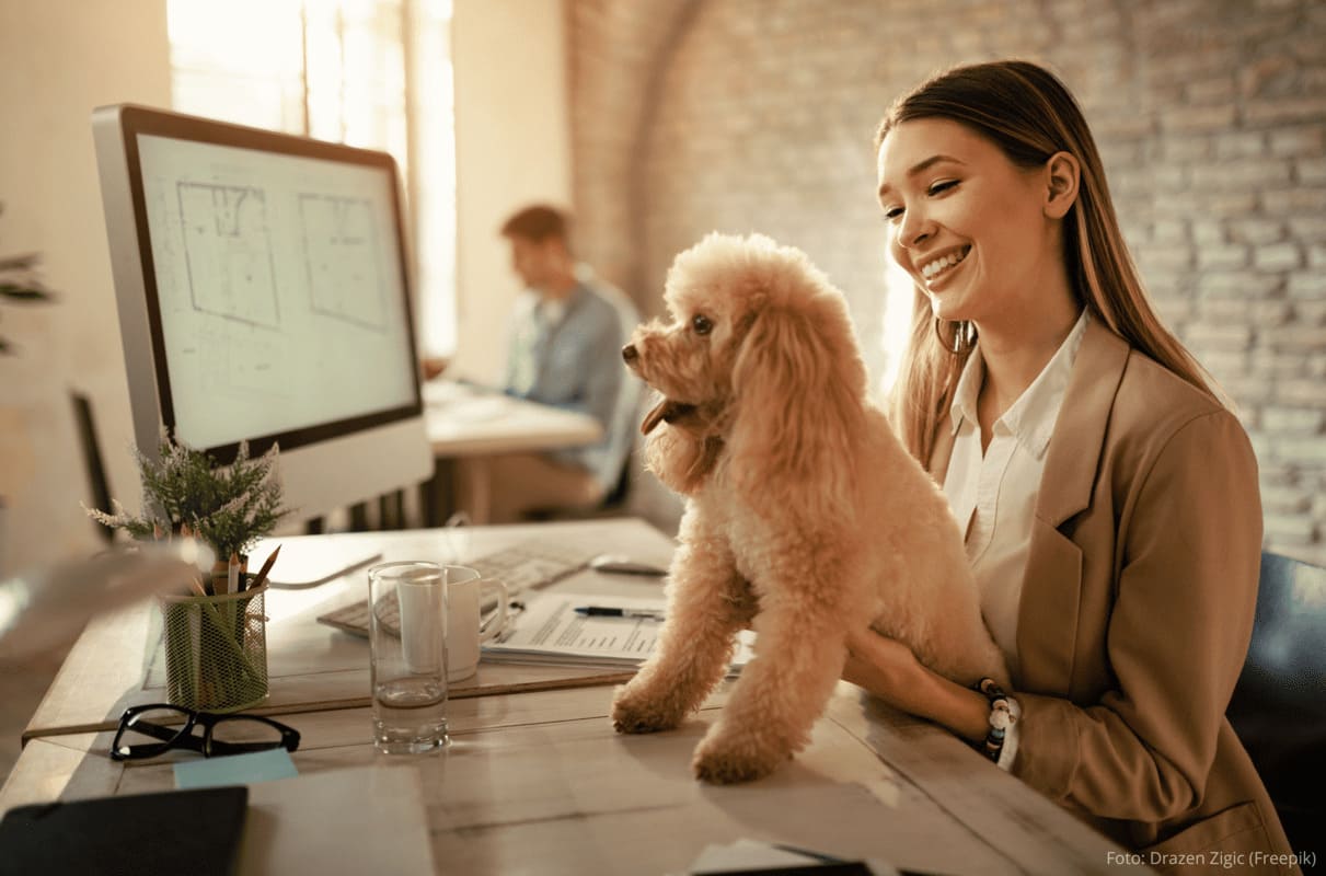 Pets no Trabalho Vale a Pena?
