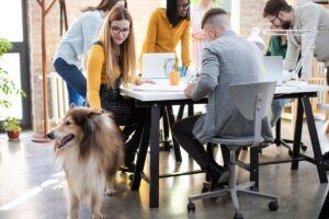 Grupo de pessoas trabalhando em escritório pet friendly.