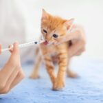 Março Azul Marinho Pet: Prevenção de Verminoses e Saúde Gastrointestinal.