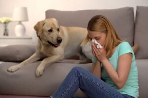 Mulher com alergia espirrando em um lenço, sentada ao lado de um cachorro.