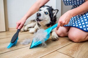 Mulher limpando os pelos soltos do seu cachorro no chão.