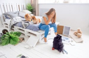 Quarto bagunçado por cães.