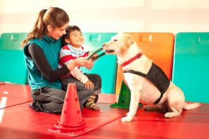 Trabalho dos Pets na Sociedade: Criança especial fazendo terapia com cão.
