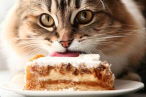 Gato comendo bolo.