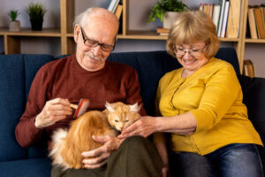 Casal de idosos com gato laranja.