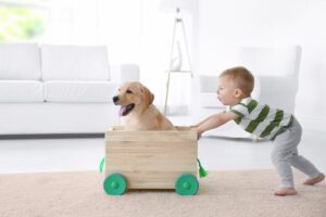 Pets na Família: Criança brincando com filhote de Labrador.