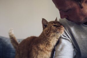 Gato ao lado do seu dono.