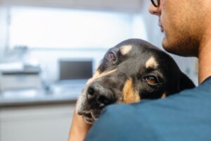 Homem segurando cachorro doente.