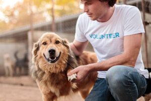 Dia do Protetor de Animais: Homem voluntário ao lado de cachorro, em um abrigo de cães.