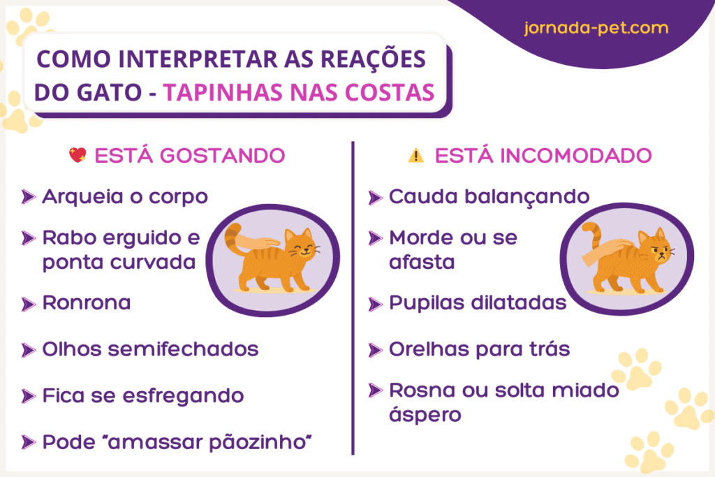 Saiba identificar as reações dos gatos quando recebem tapinhas nas costas.